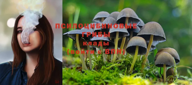 Псилоцибиновые грибы MAGIC MUSHROOMS  Оленегорск 